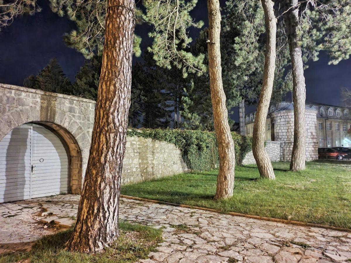 Downtown Apartment Cetinje Exterior foto